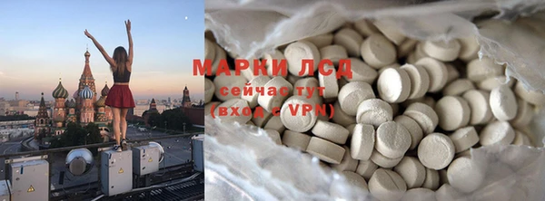 гашик Михайловск