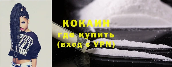 гашик Михайловск