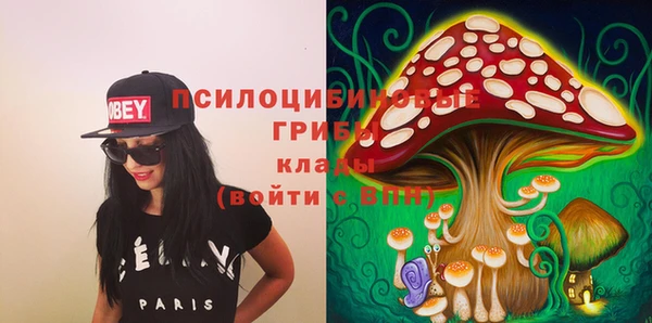 молекула духа Михайловка