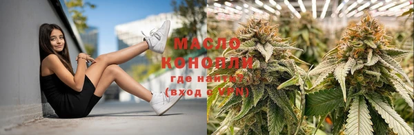 гашик Михайловск