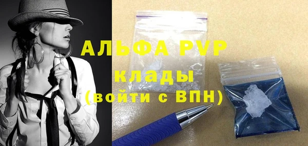гашик Михайловск