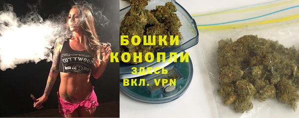 гашик Михайловск
