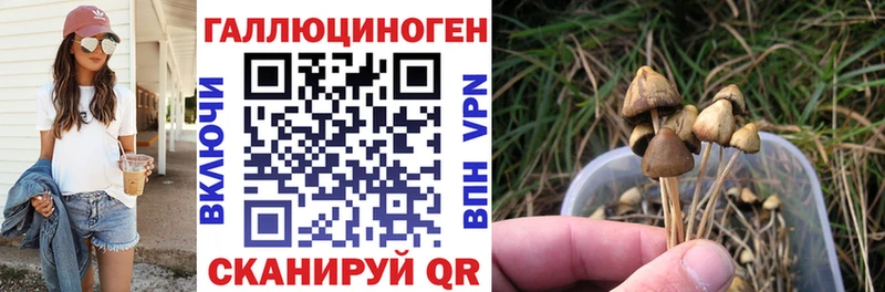 Галлюциногенные грибы мицелий  Купить где  Луховицы 